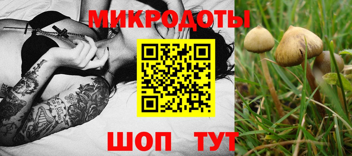 Псилоцибиновые грибы Magic Shrooms Саянск